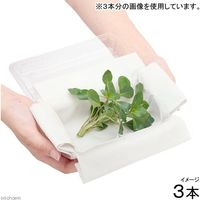 （浮草）ルドウィジア　フローティングプラント（無農薬）（３本） 【北海道・九州・沖縄・離島配送不可】【納品日指定必須】（直送品）