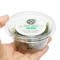 【水草】 ウォーターフェザー　バラ（水中葉）（無農薬）（１カップ） 【北海道・九州・沖縄・離島配送不可】【納品日指定必須】（直送品）