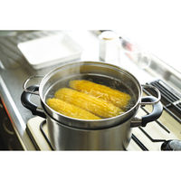 和平フレイズ 燕三 IH対応パスタポット22cm EM-016 1個（直送品）