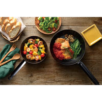 和平フレイズ エパスト 鉄共柄フライパン20cm(ターナー付) MB-1235 1個（直送品）