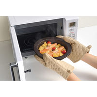 和平フレイズ マジカリーノ レンジで発熱する皿20cm RE-7266 1個（直送品）