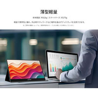 JAPANNEXT 15.6インチ 4Kワイド モバイルディスプレイ JN-MD-IPS156U 1台（直送品）