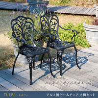 住まいスタイル アルミ製アームチェア 2脚セット 「トルペ」 BKS-C5289-2P-BLK 1セット（直送品）