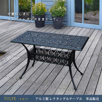 住まいスタイル アルミ製レクタングルテーブル 幅124 単品販売 「トルペ」 BKS-RG124BLK 1個（直送品）