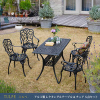 住まいスタイル アルミ製レクタングルテーブル&チェア5点セット 幅124 「トルペ」 BKS-RG124-5PS-BLK 1セット（直送品）
