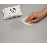 ディアンドディ 万能灯油除菌消臭ウェットシート 50枚入り 4589779741087 1個(50枚入)（直送品）