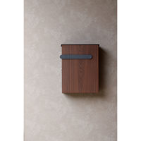 MOJYU ベルタ 壁掛けポスト ダークグレー/ブラウン木目 1台（直送品）