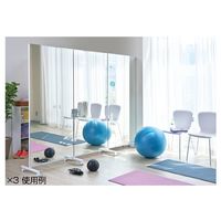 アズワン キャスター付きパーティション 片面ワイドミラー 63-3389-56 1台（直送品）