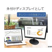 ブロードウォッチ 15.6インチ フルハイビジョンLCDモニター (HDMI，VGA) LCD-016-B 1台 69-6319-37（直送品）