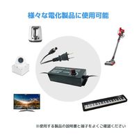 ブロードウォッチ 3V~12V 可変電源アダプター(ディスプレイ付き) AC-DC3-12D 1個 69-8714-36（直送品）