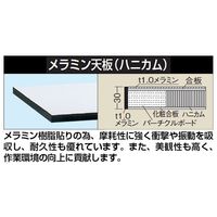 サカエ 軽量実験用作業台 ダークグレー(KHM/耐荷重350kg/実験用メラミン天板/キャスター付) KHM-1875B 1台（直送品）
