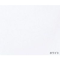 Wearever 失禁用パンツ(女性用小量タイプ) ホワイト S L100WHTSMEA 1枚 7-9617-01（直送品）