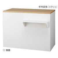 アズワン バイカラーカウンター W1200 天板RUS 63-3375-57 1台（直送品）