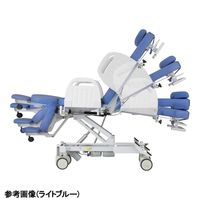 アズワン 移動式検査台(GRACEII(グレイス2))バッテリー無し・フットスイッチ無し ライトグリーン TR-A03-PG 1個（直送品）