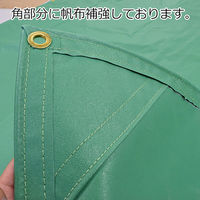 上村産業 野積みシート 砂場シート nozumi-497-700-E6-green 1枚（直送品）