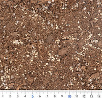 JUN コウモリランの土 2.5L 307671 1個（直送品）