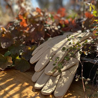 00555（直送品）