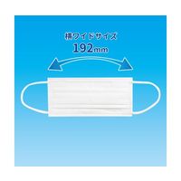 アズワン まっ白なやさしいマスク 横ワイドサイズ 30枚×3袋入 64-9299-93 1セット(90枚)（直送品）