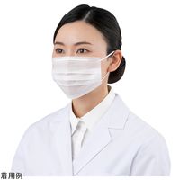 アズワン 2PLyマスク フリーサイズ 50枚入 4-4952-01 1箱(50枚)（直送品）