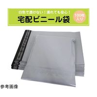 ブロードウォッチ 宅配ビニール袋 縦46×横36cm 1個(100枚入) CARGO-BAG-A3 1個(1枚) 60-5673-26（直送品）