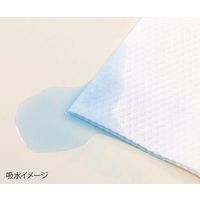 アズワン キャッチワイプ 高吸収エンボスワイパー 120g 900枚入 A120 1箱(900枚) 4-1304-54（直送品）