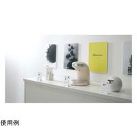 カウネット パネルスタンド 小 高さ40mm 10枚入 41267370 1パック(10枚) 64-9358-58（直送品）