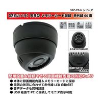 ブロードウォッチ 天井型メモリーカード記録防犯カメラ SEC-TF-U060NIBC 1個 69-8784-22（直送品）