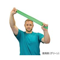 Fabrication Enterprises ループバンド(ラテックス製) 508mm ブルー 7-9638-04 1個（直送品）