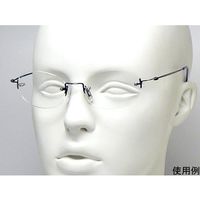 クリアー光学 遠近老眼鏡 ツーポイント CK-0609 +1.0 1個 64-5278-42（直送品）