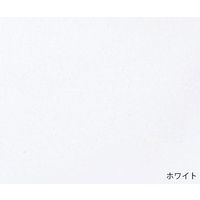 Wearever 失禁用パンツ(男性用少量タイプ) ホワイト M MBB100WHTMD 1枚 7-9619-02（直送品）