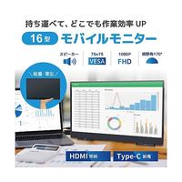 ブロードウォッチ 16インチ液晶モバイルモニター 解像度1920×1200 スピーカー内蔵 LCD-H160 1個 69-8714-19（直送品）