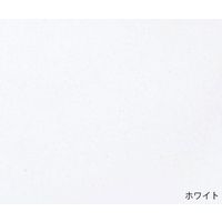 Wearever 失禁用パンツ(女性用極少量タイプ) ホワイト L S100WHTM/L 1枚 7-9618-03（直送品）