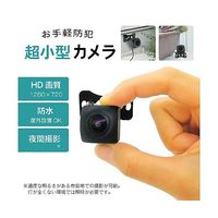 ブロードウォッチ 防水超小型カメラ 720P(100万画素)監視・防犯 SEC-CAM-M720P 1個 60-3183-47（直送品）