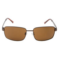 保土ヶ谷電子販売 キャプテンスタッグサングラス CS-001-2 1個（直送品）