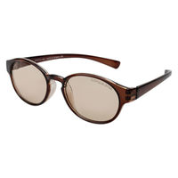 保土ヶ谷電子販売 キャプテンスタッグサングラス CS-013-2 1個（直送品）