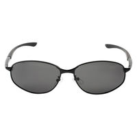 保土ヶ谷電子販売 キャプテンスタッグサングラス(偏光) CSP-002-2 1個（直送品）