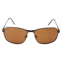 保土ヶ谷電子販売 キャプテンスタッグサングラス(偏光) CSP-003-2 1個（直送品）