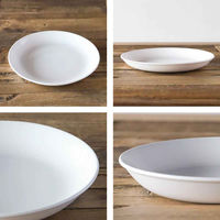 丸利玉樹利喜蔵商店 プレート 24cm 軽量強化磁器 fortemore フォルテモア 269516 1個（直送品）