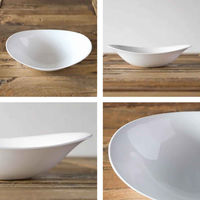 丸利玉樹利喜蔵商店 プレート 25cm オーバル 軽量強化磁器 fortemore フォルテモア 269523 1個（直送品）