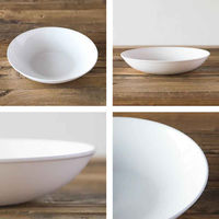 丸利玉樹利喜蔵商店 プレート 21cm カレー&パスタ皿 軽量強化磁器 fortemore フォルテモア 269522 1個（直送品）