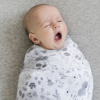 日本エイテックス おくるみ Mister Fly モスリンラップ ガーゼ 綿100% フローラルバニー 438457 1個（直送品）