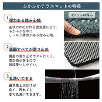 SOW 玄関マット ふかふかテラスマット 75×45cm オレンジ 485209 1個（直送品）