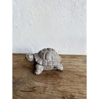 SOW オブジェ デコール セメントオブジェ カメ B 485704 1個（直送品）