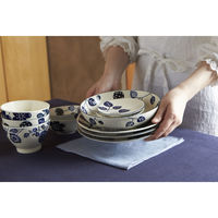 丸利玉樹利喜蔵商店 茶碗 11.5cm AIKA 硬質陶器 ガーデン 377323 1個（直送品）