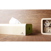 ヤマト工芸 ティッシュボックス ソフトパック用ティッシュケース ライトグリーン 255365 1個（直送品）