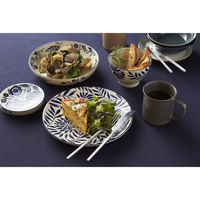 丸利玉樹利喜蔵商店 プレート 22cm AIKA 硬質陶器 ボタニカルリーフ 377313 1個（直送品）