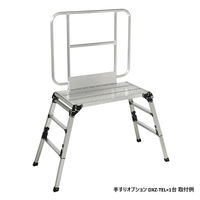 ピカコーポレイション 手すり枠 DXZ-TEL 1個（直送品）