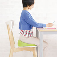 ソニック クッション まっすぐ姿勢ですくすくッション キッズ リビガク 404628 1個（直送品）