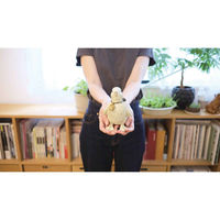 キシマ ガーデンオーナメント ダック 2羽 置物 452515 1個（直送品）