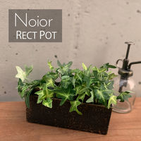 アビテ 植木鉢 ノワオール レクトポット 479130 1個（直送品）